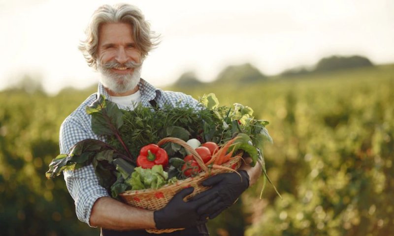 Farmers need more government support to feed Canadians