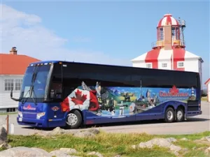 Cruises & Bus Tours