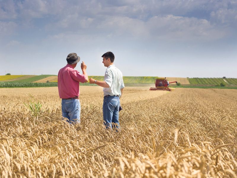 Farmers need more government support to feed Canadians