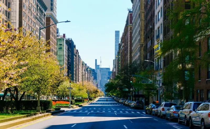 Urban Foraging: Turning City Streets into a Seasonal Pantry