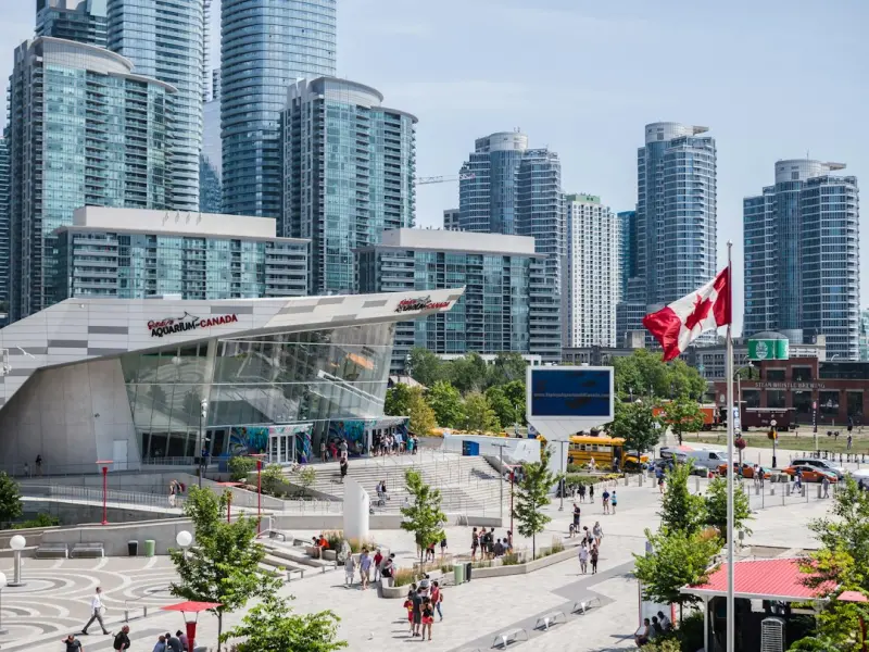 Reimagining Canada’s Healthcare Frontier: Community‑Driven Telehealth in Remote Regions