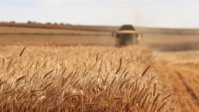 How Canadian Farmers Are Turning Data Into a Competitive Edge