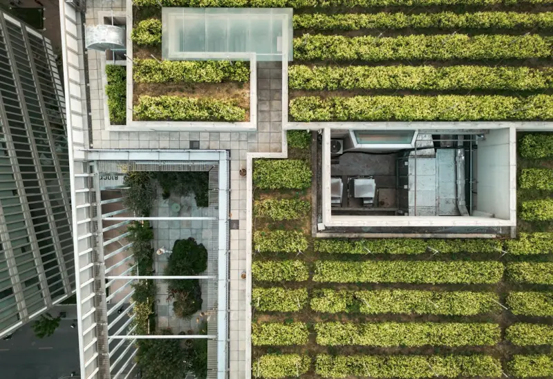 The Sky’s the Limit: How Rooftop Farms Are Redefining Canadian Cities