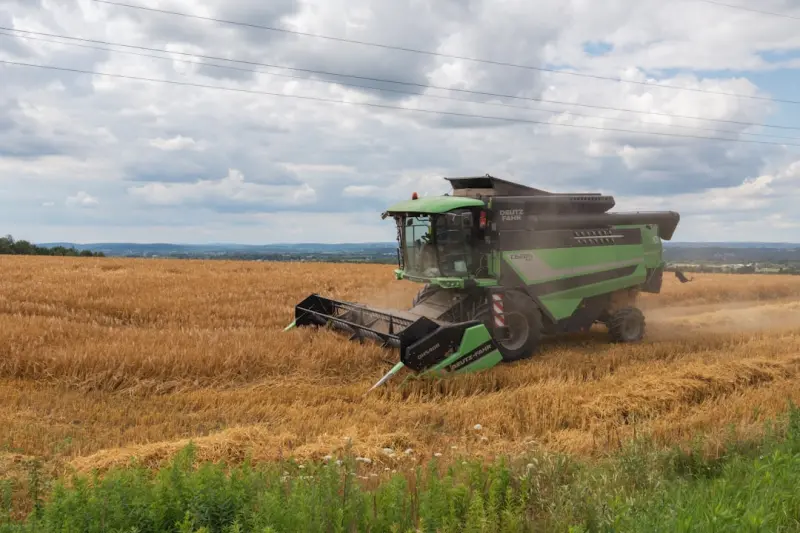 Digital Harvest: How Canadian Farmers Connect Directly with Consumers