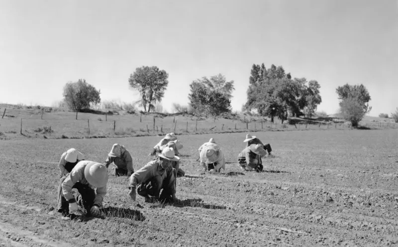 The Struggles and Triumphs of Canadian Farmers The Struggles and Triumphs of Canadian Farmers
