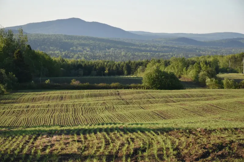 Beyond the Field: How Canadian Farmers Are Cultivating Community Resilience