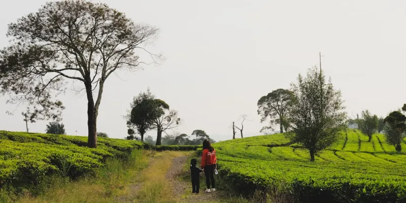 Rediscovering the Charm of Rural Tourism: A Journey Off the Beaten Path