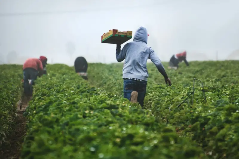 Regenerative Roots: Canadian Farmers Building Climate‑Resilient Futures