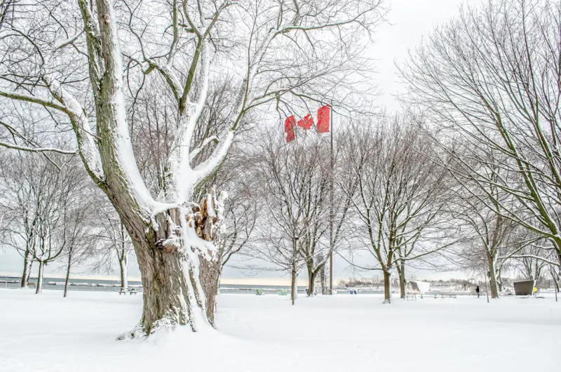 Seasonal Light and Warmth: Designing a Canadian Home for Year‑Round Comfort