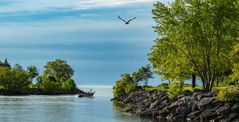 Eco‑Conscious Angling in Ontario: Sustainable Strategies for Every Angler