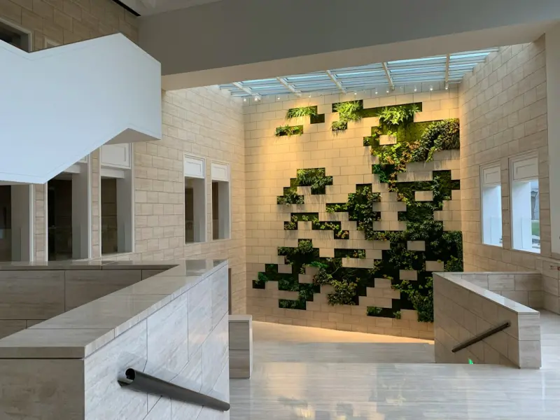 When Walls Breathe: Harnessing Biophilic Design for Workplace Health