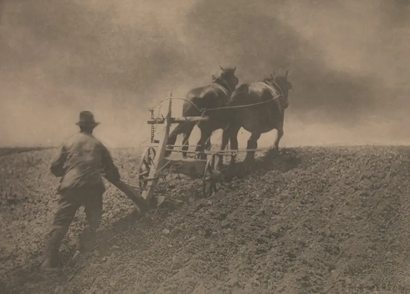 Cultivating Tomorrow: How Canadian Farmers Harness Data, Community, and Resilience