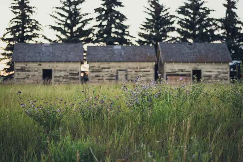 How Canada’s Telehealth Revolution Is Redefining Rural Care How Canada’s Telehealth Revolution Is Redefining Rural Care