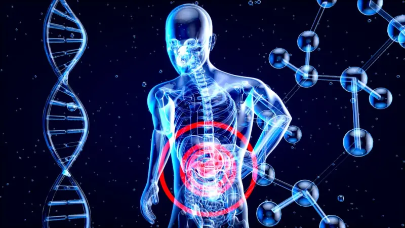 Why Your Gut Microbiome Is the Missing Piece in Modern Wellness