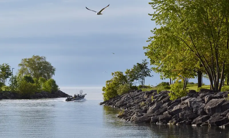 Ontario’s Secret Fishing Spots: A Local’s Guide to Uncharted Waters