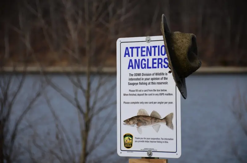 Data-Driven Angling: How Real-Time Tech Is Transforming Ontario Fishing