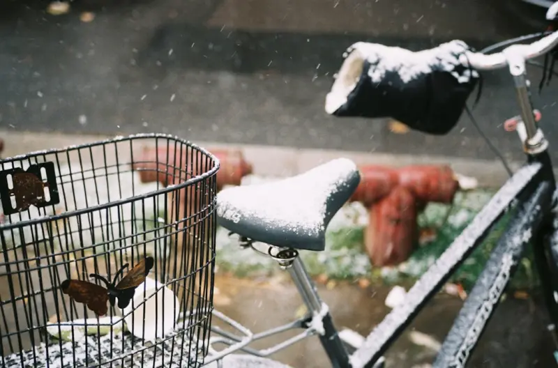 Seasonal Swaps: How to Ride Trends and Save Big All Year Long