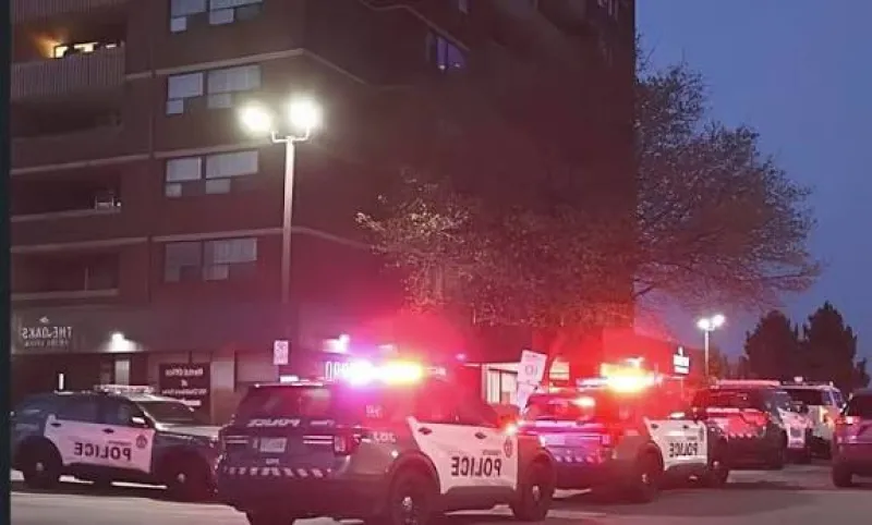 Keeping Kids Safe: Toronto Police's Urgent Call for Parents to Take Action Following Recent Tragedies Keeping Kids Safe: Toronto Police's Urgent Call for Parents to Take Action Following Recent Tragedies