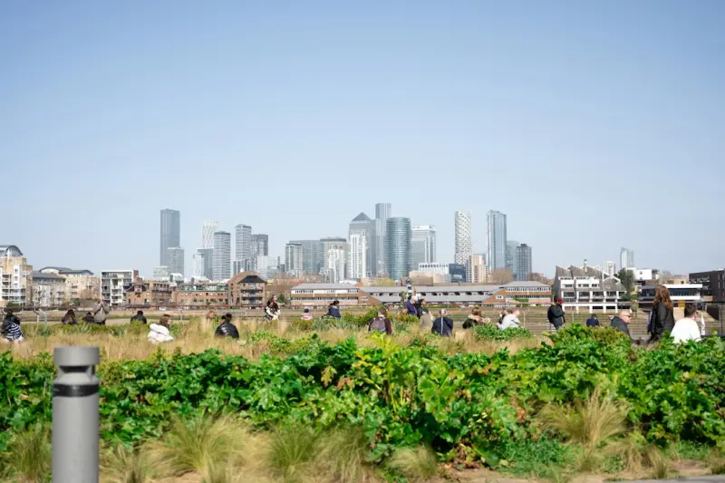 City Foraging: A Fresh Take on Urban Nutrition