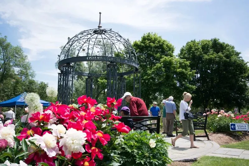 Get Ready for a Blooming Good Time at the Peony Festival in the Charming City of Oshawa Get Ready for a Blooming Good Time at the Peony Festival in the Charming City of Oshawa