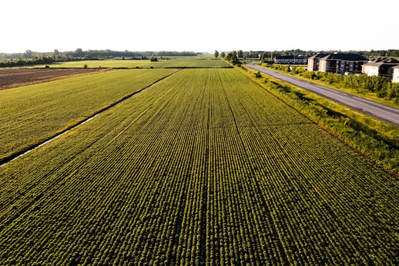 Solar Harvest: How Canadian Farms Are Powering the Future