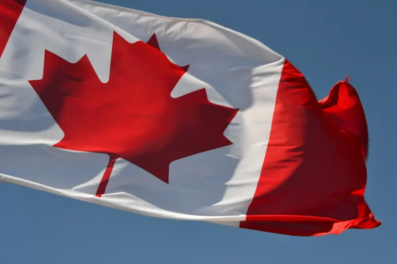 From Backyard to Forest: Embracing Wildcrafting in Canadian Suburbs - Support Canadian