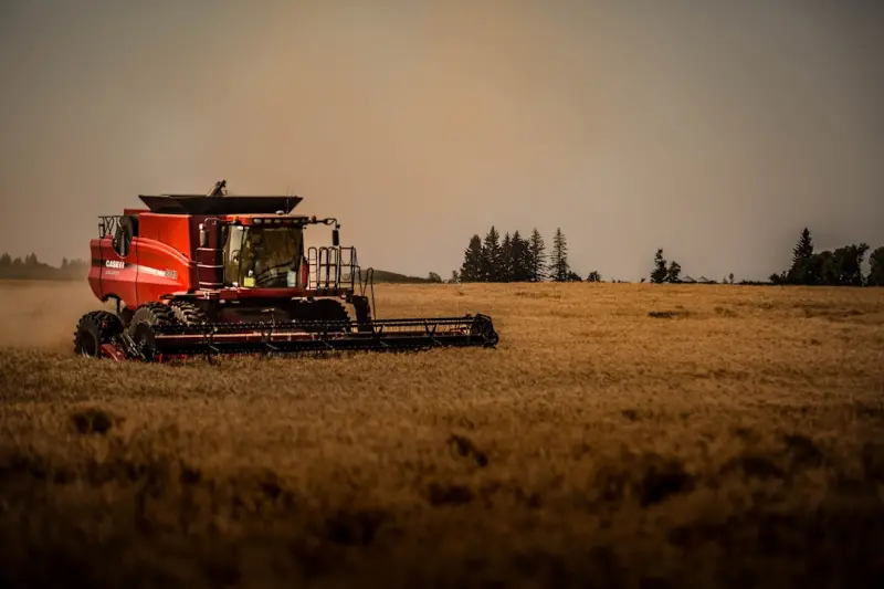 From Fields to Festivals: Canadian Farmers Embrace Agri‑Tourism