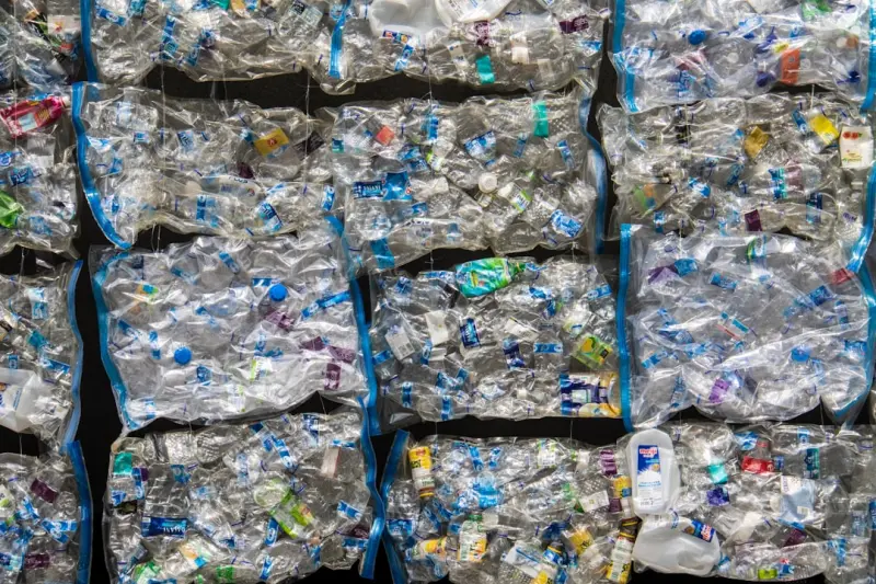 Edible Packaging: Turning Waste Into Flavorful Food Wraps