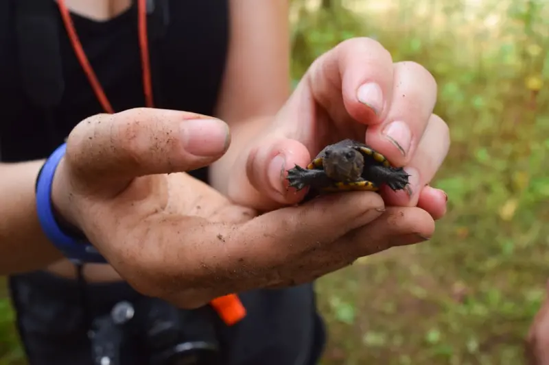 Micro‑Volunteering Adventures: How Tiny Acts Transform Travel