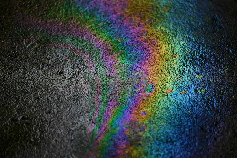 Why Your Plate Needs a Rainbow: Unlocking the Science of Colorful Nutrition - Support Canadian