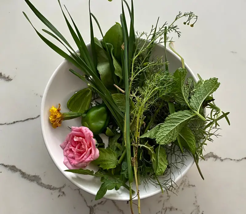 Foraging the Modern Kitchen: How Wild Ingredients Supercharge Your Health