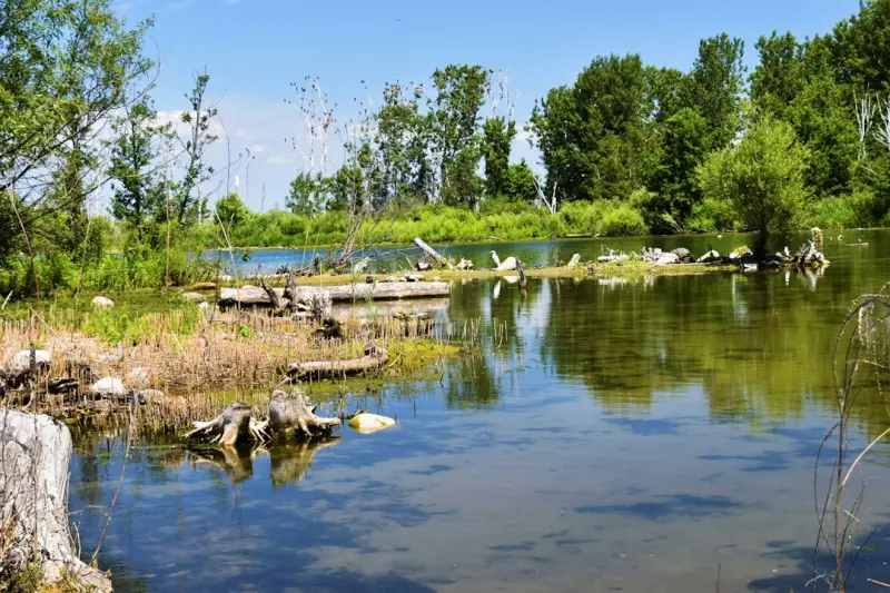 Rediscovering Ontario’s Hidden Fishing Sanctuaries - Support Canadian