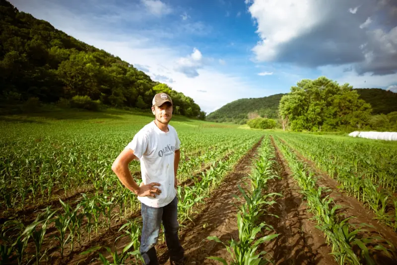 Regenerative Roots: How Canadian Farmers Are Re‑Imagining the Land