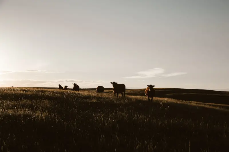 Community, Resilience, and Tech for Canadian Farmers