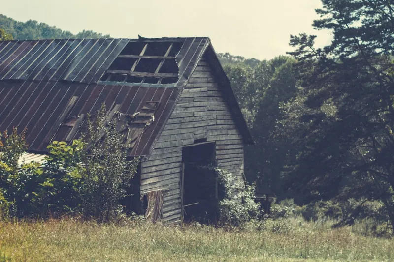 The Unraveling of Rural America's Economic Fabric The Unraveling of Rural America's Economic Fabric