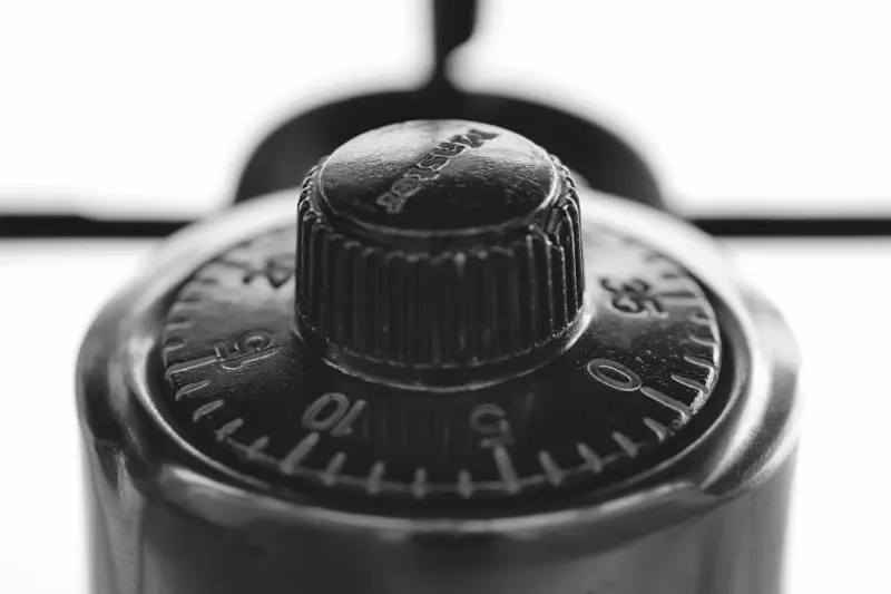 Turning Up the Heat Without Turning Up the Bill: Canada’s Home Energy Renaissance