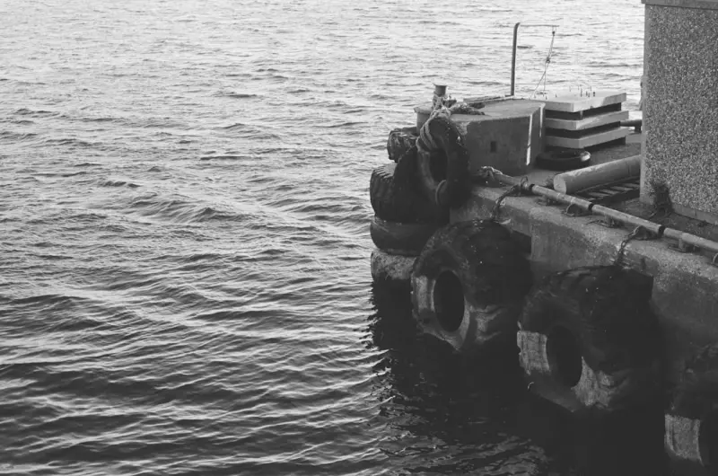 Ontario’s Catch‑and‑Release Revolution: Protecting Our Waters One Cast at a Time Ontario’s Catch‑and‑Release Revolution: Protecting Our Waters One Cast at a Time