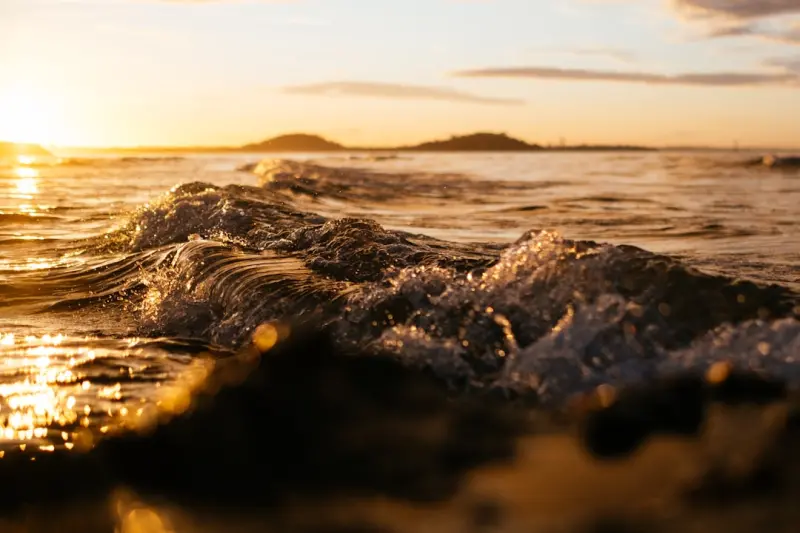 Indigenous Voices Amplify: A New Wave in Canadian Entertainment Indigenous Voices Amplify: A New Wave in Canadian Entertainment