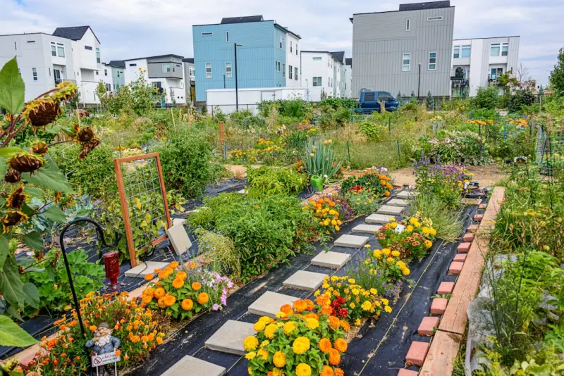 Rooftop Gardens and the Flavor Revolution: Growing Gourmet Herbs at Home