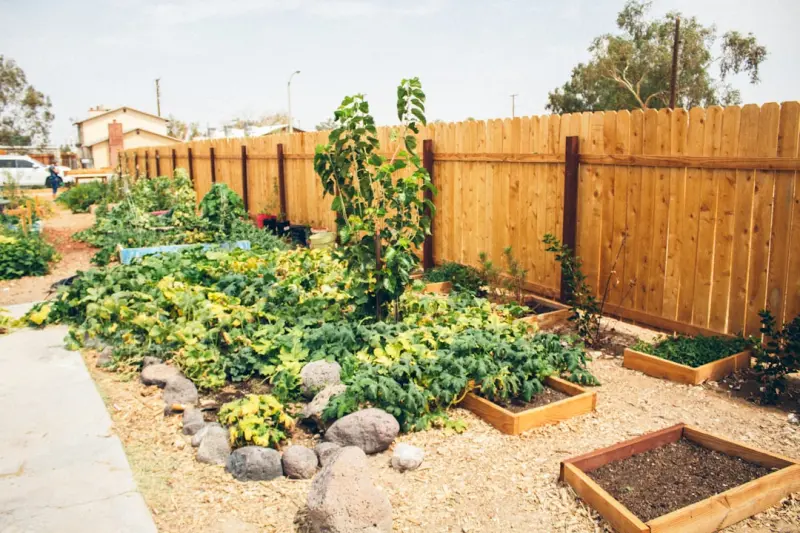 Backyard Bounty: Turning Home Gardens into Neighborhood Food Hubs Backyard Bounty: Turning Home Gardens into Neighborhood Food Hubs