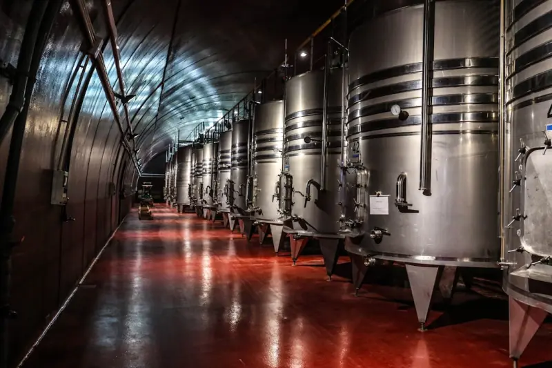 Fermentation: The Secret Weapon for Busy Professionals Seeking Better Health