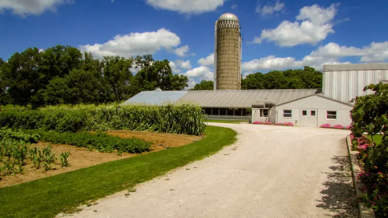 Beyond the Fields: Building Community‑First Food Networks