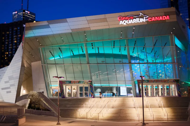 Dive into Fun: Essential Tips for Visiting Ripley's Aquarium of Canada in Toronto
