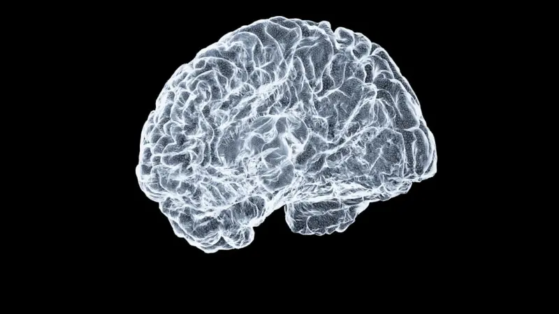 Neuromarketing Unleashed: How Brain Data Is Transforming Real‑Time Campaigns