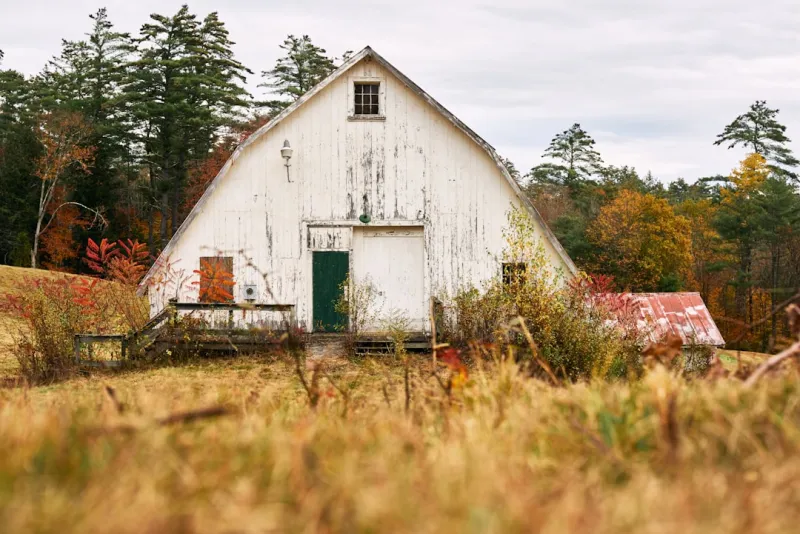 Exploring the Hidden Gems of Rural America: A Journey Through Uncharted Getaways