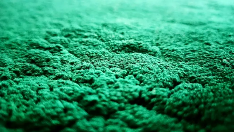The Green Carpet: Sustainable Trends Redefining Prom & Graduation