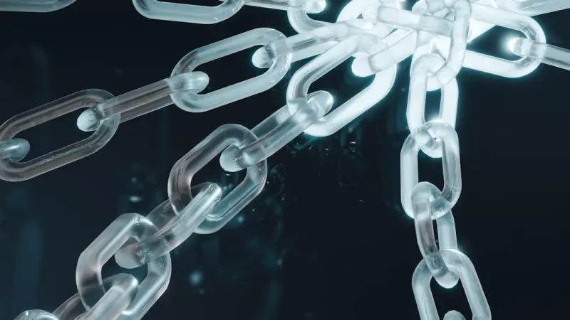 Transparent Supply Chains: The Untapped Engine of Business Growth