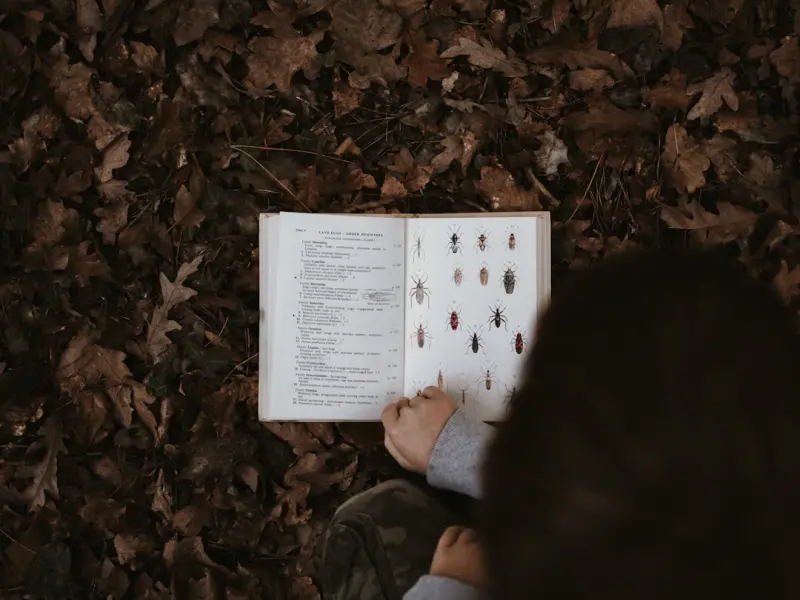 Nourishing Narratives: How Storytelling, Seasonality, and Sensory Cooking Transform Healthy Eating