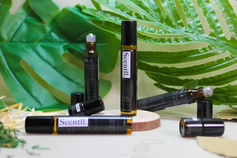 Sensing Flavor: How Sound, Light, and Aroma Are Redefining the Restaurant Experience Sensing Flavor: How Sound, Light, and Aroma Are Redefining the Restaurant Experience