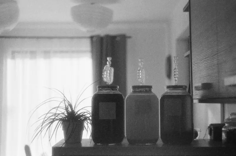 Fermenting the Future: How Home Fermentation Is Becoming a Sustainable Superpower